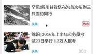 今日头条绵阳爆料,聚焦城市热点事件，揭秘幕后真相